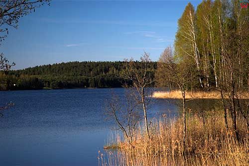 Litwa. Jezioro Negascius.
